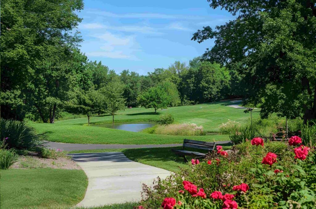 Serene park with lush green trees, vibrant pink roses, and a pond, showcasing professional landscape and painting services by Thornapple Painting in a peaceful outdoor setting.
